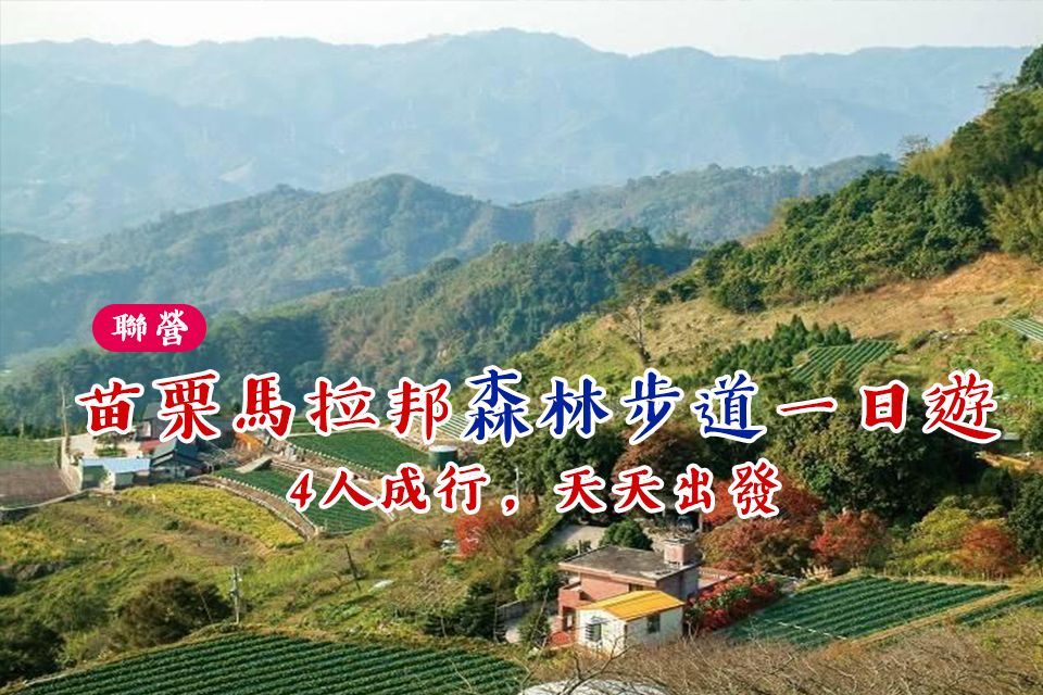 苗栗馬拉邦森林步道1日遊