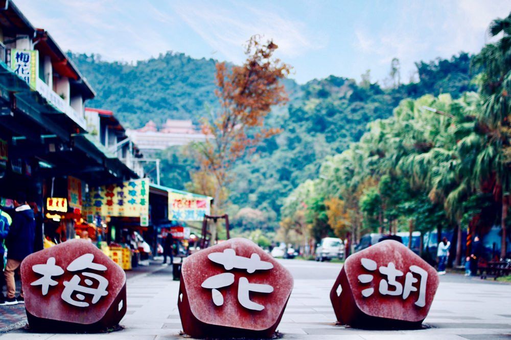 宜蘭單車環湖 水草博物館 林美石磐步道 2日遊