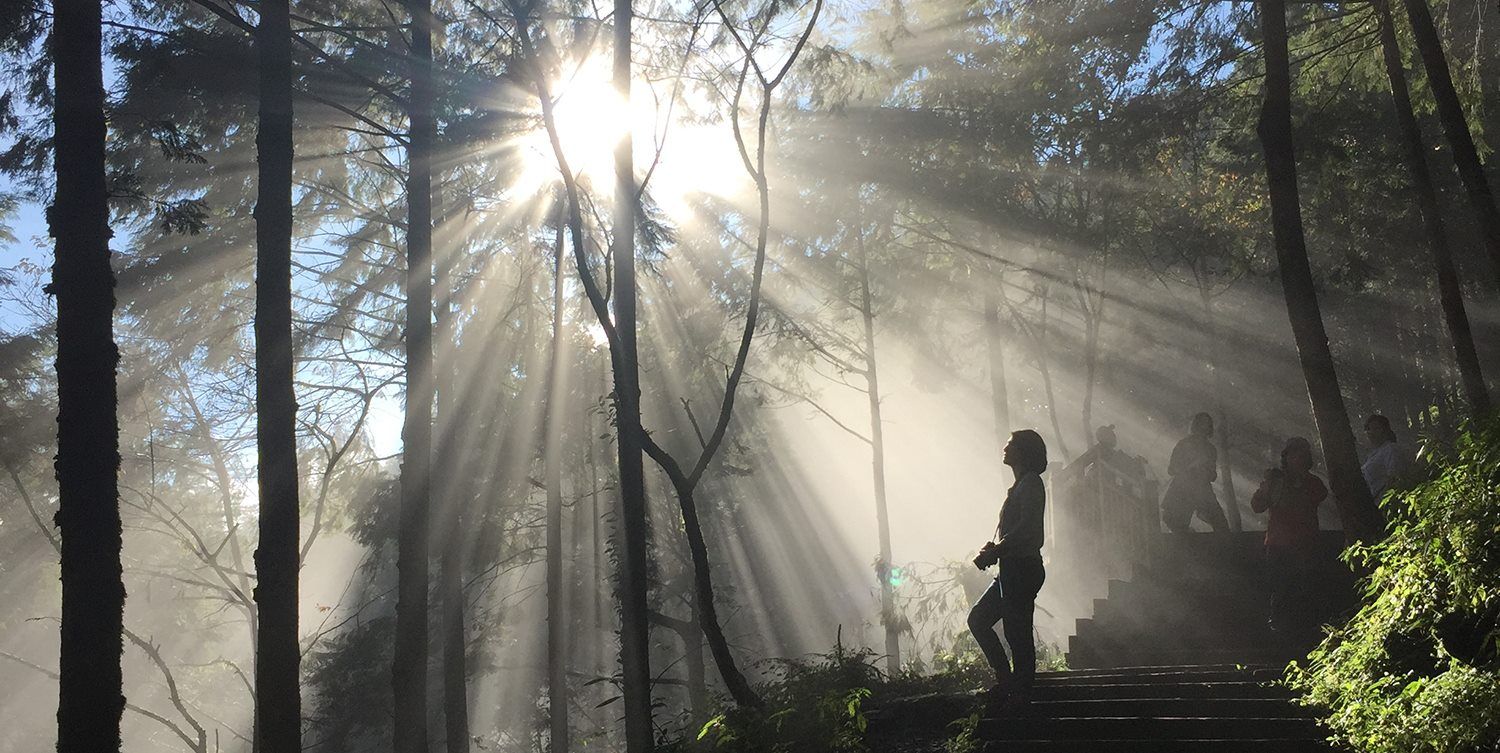 宜蘭棲蘭神木～翠峰湖 3日遊