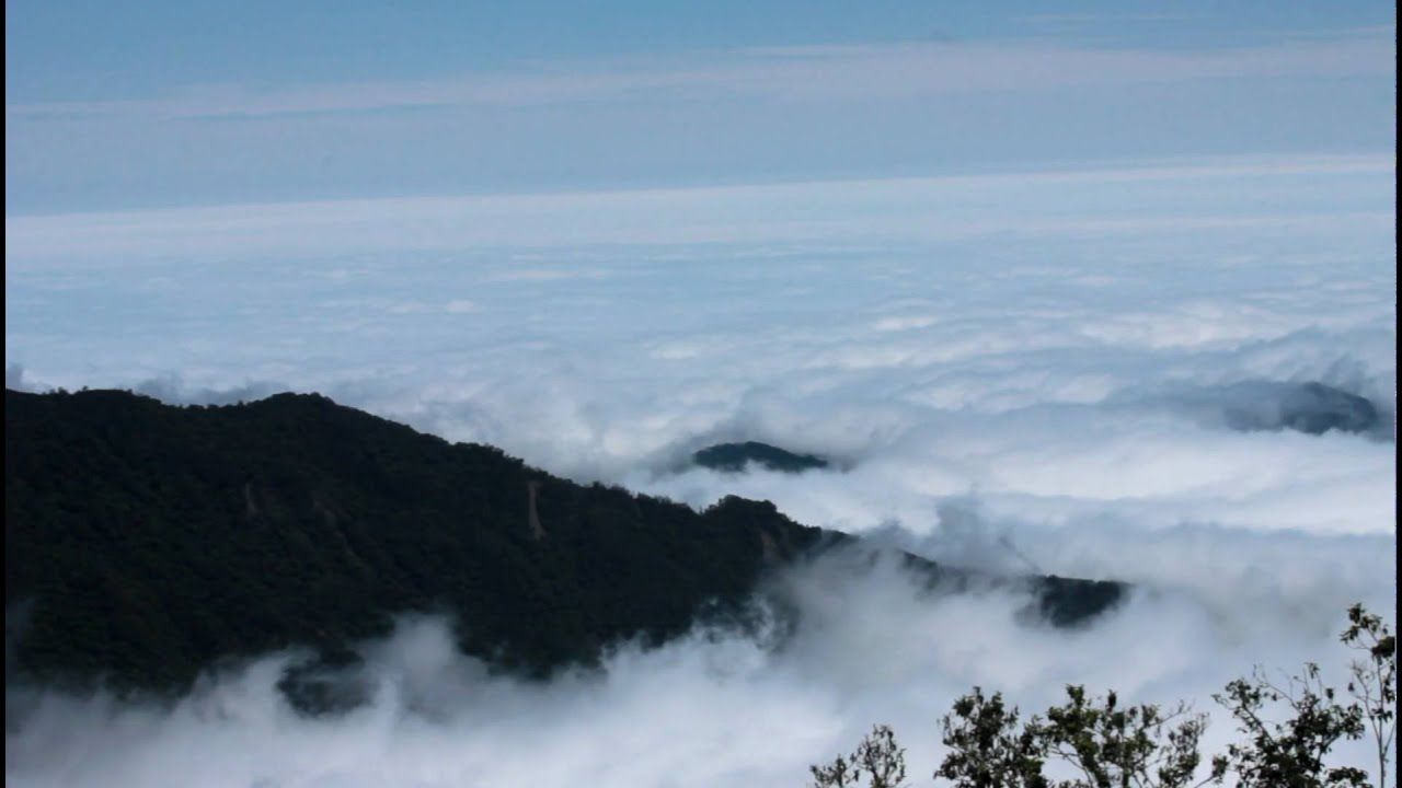 清泉雪霸觀霧神木 森呼吸2日遊
