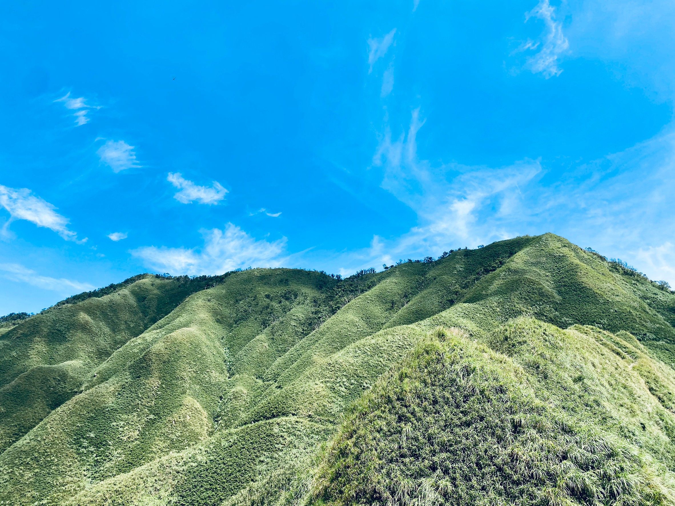 臺灣の抹茶冰淇淋山 ~ 宜蘭抹茶山秘境 · 溫泉2日遊