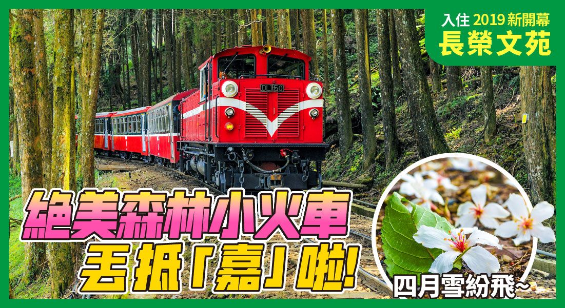 阿里山小火車+挑水古道+魚寮遺址 2日