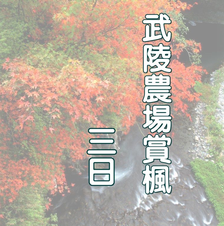 武陵農場賞楓三日