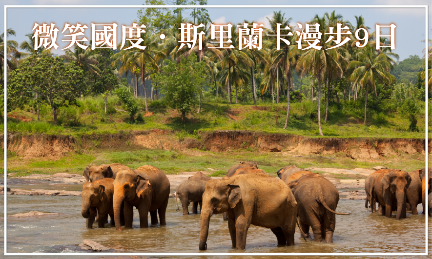微笑國度．斯里蘭卡漫步9日