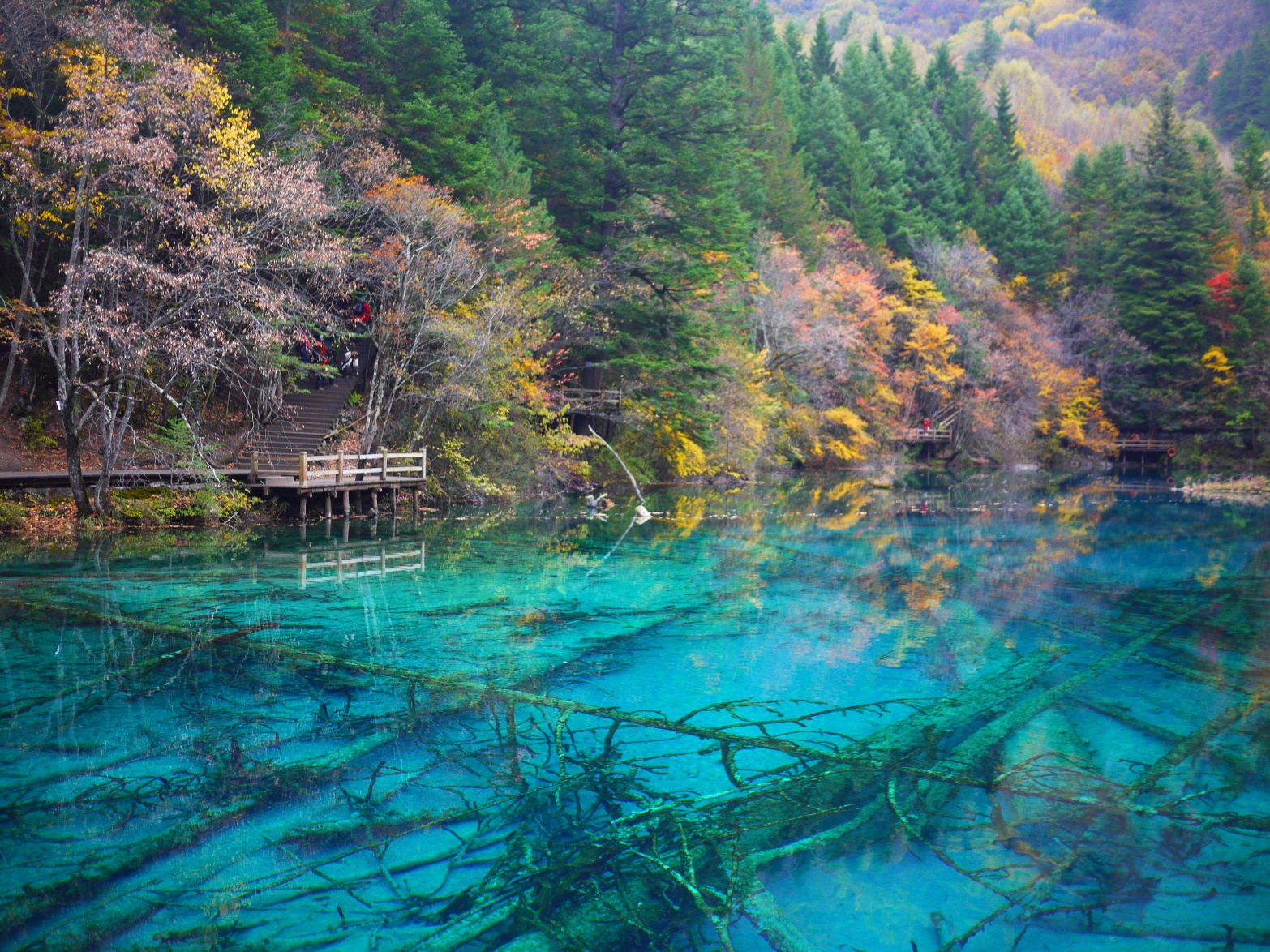 春熙九寨~九寨溝.黃龍.峨嵋山.樂山八日