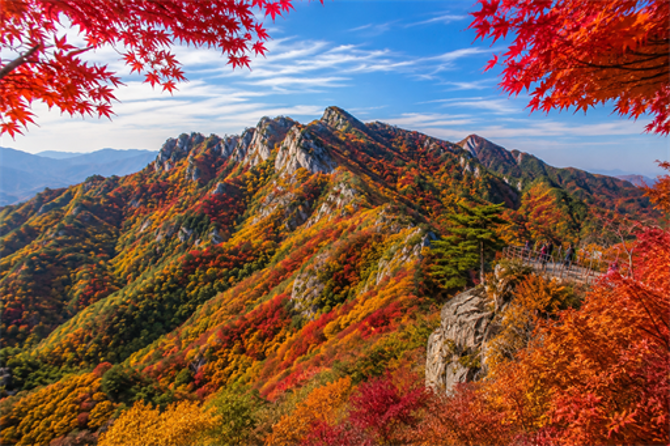 釜邱雙城楓紅四日
