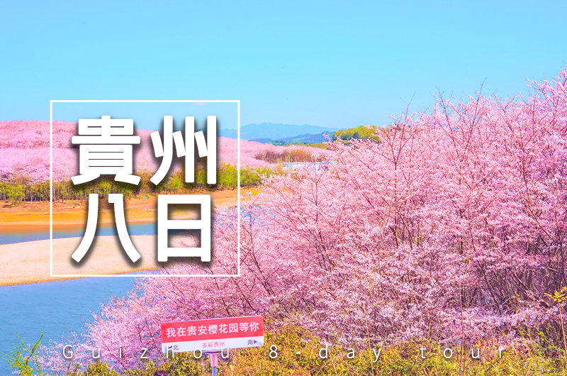 【自由行】3月絕美貴州黃果樹賞油菜花櫻花8日