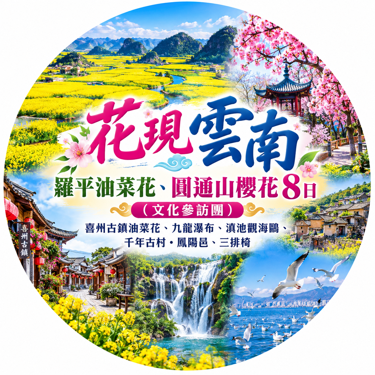 季節限定 花現雲南8日